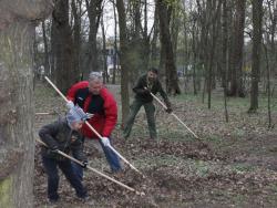 У Чернігові провели День довкілля