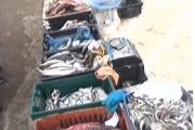 Обговорено питання виїзної (виносної) торгівлі на території Чернігова