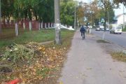 Осінні клопоти: 1700 за неприбрану територію