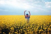 ПЛАН<br>просвітницьких, культурно-мистецьких  і спортивних  заходів<br>до Міжнародного Дня захисту дітей у м. Чернігові