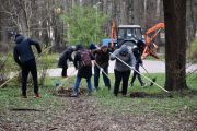 Чернігівці відгукнулися на пропозицію міського голови і вийшли на толоку (ФОТОРЕПОРТАЖ)