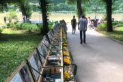 Чернігівська виставка «Сіверщина. Блокпост пам’яті» побувала на фестивалі в Заліщиках, що на Тернопільщині