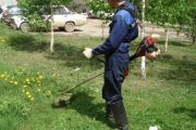 Екологічна інспекція м. Чернігова нагадує суб’єктам господарювання про обов’язкове скошування трави