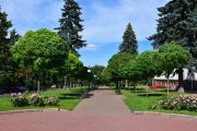 На сесії Чернігівської міської ради прийняли концепцію озеленення Чернігова на 2021-2025 роки