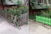 КП «Муніципальна варта» контролює дотримання правил благоустрою