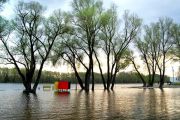 Рівень води в Десні на 5 травня