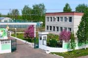 Наступного літа Чернігів буде ще більш зеленим і квітучим