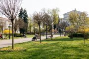 Чернігів готується розквітнути: стартували весняні роботи