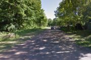 При ремонті дороги на пляж по Береговій більшість дерев збережуть