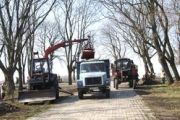 Чернігівці активно підтримують багаторічну традицію   проведення Дня довкілля