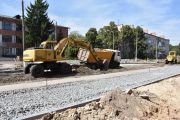 У Чернігові замість кожного знесеного під час реконструкцій дерева висаджується два