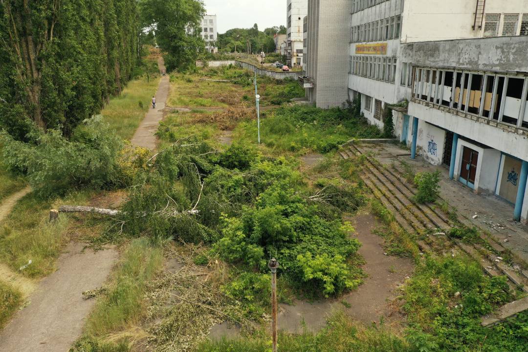 Мазепи,110