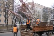 У Чернігові стартували роботи з озеленення вулиць міста. На Захисників України вже є нова алея з лип