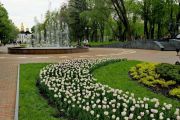 Весна на вулицях Міста Легенд: тюльпани, сакури і магнолії