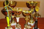 У спорті вищих досягнень чернігівські спортсмени мають високі здобутки