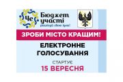 Бюджет участі: проголосувати можна і за паспортом