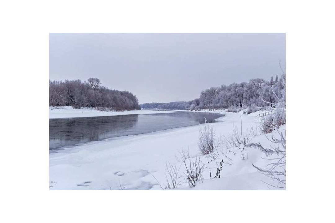 Архівне фото 2018 року