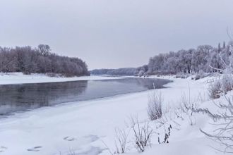 Архівне фото 2018 року