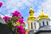 З кожним роком на вулицях Чернігова з’являється все більше цікавих квітів