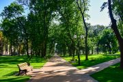 Чернігівський Дитинець поступово перетворюється на сучасний європейський парк