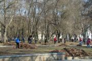 Підсумки половини місячника благоустрою і озеленення