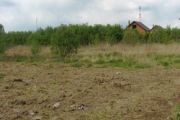 Порядок безоплатних оформлення та видачі громадянам України державних актів на право власності на земельні ділянки
