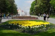 Про роботу комунального підприємства «Зеленбуд» у 2014 році