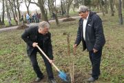 У Чернігові - місячник благоустрою
