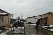 Благоустрій території пункту тимчасового утримання тварин завершиться навесні