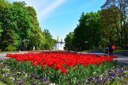 Про "зелені легені" Чернігова дбають працівники КП «Зеленбуд»