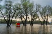 За минулу добу рівень води в Десні не змінився
