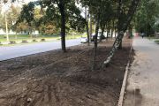 На зелених зонах вздовж вул. Рокоссовського висадять газон
