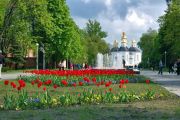 Міська влада і студентська молодь домовилися про співпрацю у розвитку туризму в Чернігові