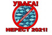 Нагадуємо чернігівцям: з 1 квітня почнеться нерестова заборона на вилов риби