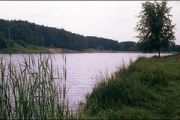 Початок робіт з очищення Стрижня заплановано на осінь 2008 року.