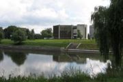На виконкомі визначили відновну вартість нових зелених насаджень