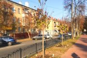 По вулиці Гетьмана Полуботка висадили 46 крупнолистних лип