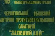 Санаторій «Зелений гай» перевірять на готовність до прийому дітей на літній відпочинок