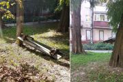 Новий фотодайджест від КП «Муніципальна варта»