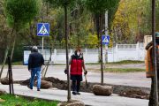 Владислав Атрошенко: Треба знаходити можливість висаджувати щороку по 1000 дерев