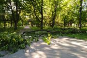 У Чернігові ліквідовують наслідки буревію