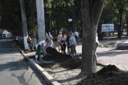 Сквер Хмельницького скоро зазеленіє новою травичкою (ФОТОРЕПОРТАЖ)