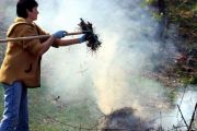Нагадуємо: штраф за спалювання сухої рослинності - від 340 до 1360 гривень