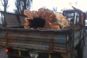 «Зеленбуд» відреагував на скарги і усунув небезпеку