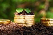 Чернігівцям - отримувачам субсидії встановлено додаткові пільги зі сплати земельного податку: роз’яснення ОДПІ
