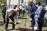 Алея пам'яті загиблих учнів та випускників з'явилася в ліцеї №22 Чернігова