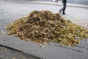 В Чернігові борються з порушниками чистоти