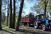 З 26 по 30 квітня у Чернігові - тиждень благоустрою