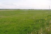 Місто викупить для суспільних потреб 3,6 га землі у власників паїв
